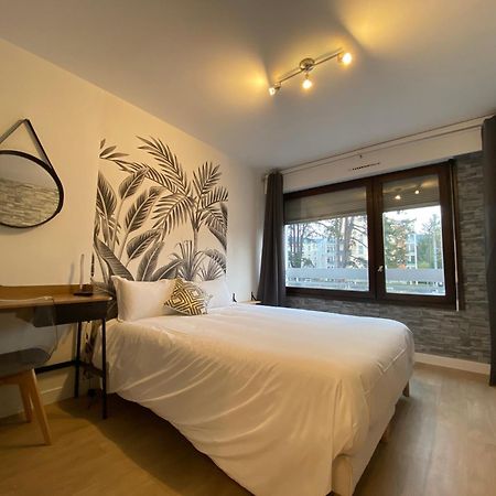 Studios & Chambres Aux Portes De Geneve Saint-Julien-en-Genevois Buitenkant foto
